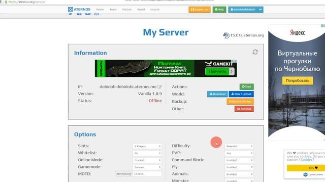 Запуск своего сервера Minecraft или как играть в майнкрафт вместе с другом смотреть онлайн