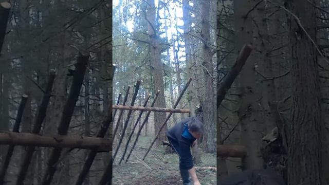 Навес от дождя в Лесу