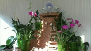 ДОМАШНИЙ ВОДОПАД СВОИМИ РУКАМИ