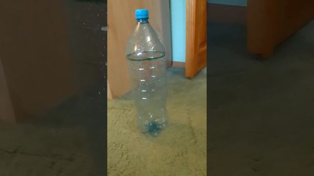 КАК СДЕЛАТЬ ГОЛОГРАММУ ДОМА!!! САМЫЙ ЛЁГКИЙ СПОСОБ 🤩 смотреть онлайн