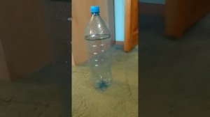 КАК СДЕЛАТЬ  ГОЛОГРАММУ ДОМА!!! САМЫЙ ЛЁГКИЙ СПОСОБ 🤩