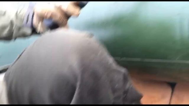 ПОПЛАВАЛ, А ПРО ДВИЖ НЕ ЗАБЫВАЙ! ВАЛЯЕМ ДУРАКА! смотреть онлайн
