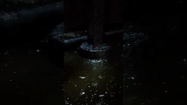 Насос Hidrostal. Перекачка нефтяного шлама