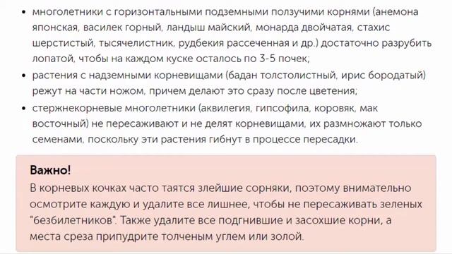 Наводим порядок на клумбе как обновить старый запущенный цветник смотреть онлайн