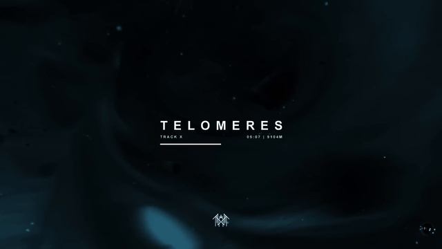 Sleep Token - Telomeres (Visualiser) смотреть онлайн