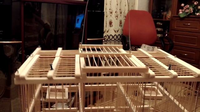 Западок. Ловушка для птиц