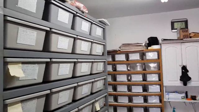 Ball Python Breeding Facility Tour! Hundreds of Snakes in a small space. смотреть онлайн