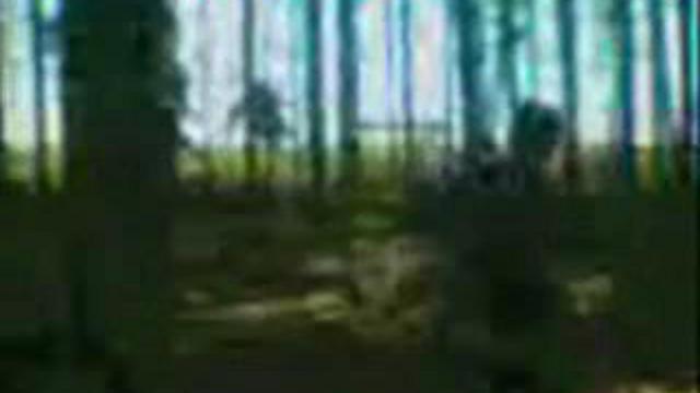 Любительская съёмка НЛО brazilcell ufo смотреть онлайн