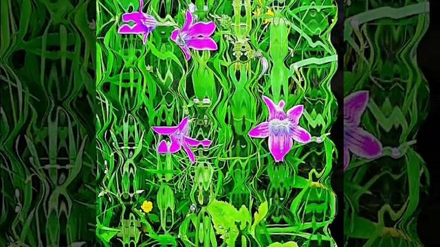 Очаровательная природа , прекрасные цветы и музыка.mp4 смотреть онлайн