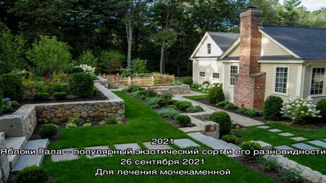Золотая жила сада – облепиха смотреть онлайн