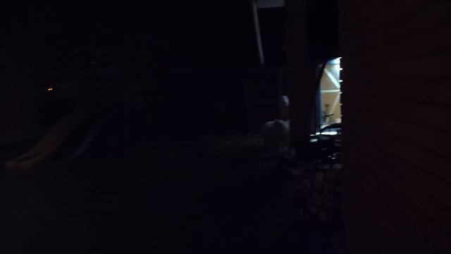 VLOG Жарим шашлыки. Настя задувает свечки на торте смотреть онлайн