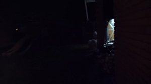 VLOG Жарим шашлыки. Настя задувает свечки на торте