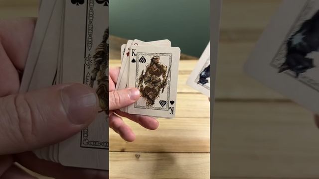 Brujo Ryan’s ULTIMATE Tarot and Oracle card review - My Favorite Decks смотреть онлайн