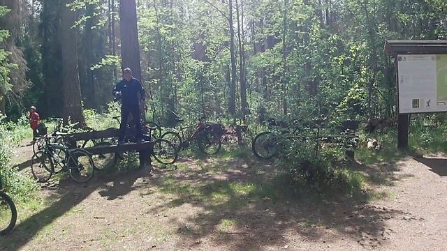 Поездка в Рощино