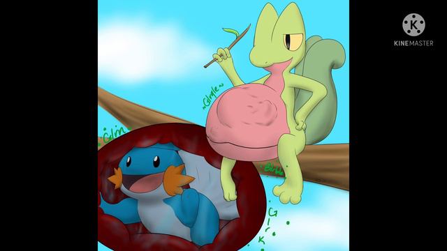 Treecko Ate Mudkip