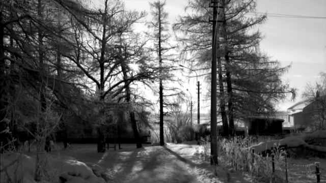 Склонившись над его плечом Стихи Хельги Ястреб, музыка Jules Mesened Читает Хельга Ястреб смотреть онлайн