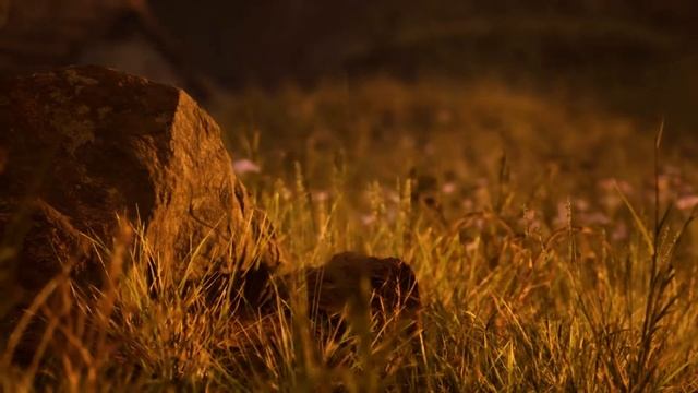 UE5 - The End of Summer - Environment Art смотреть онлайн