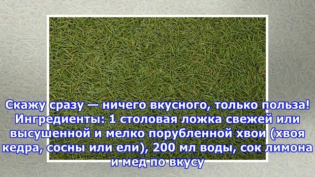 РЕЦЕПТЫ: Хвойный чай от простуды смотреть онлайн