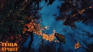 ТЕЩА- влюбилась в ЗЯТЯ. Любовные истории из жизни. Интересные истории про тещу. Аудио рассказы