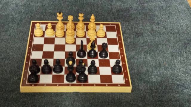 Шахматы анимация