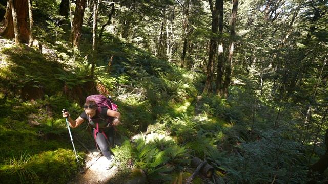 Hiking the Earnslaw Burn in Glenorchy, New Zealand смотреть онлайн