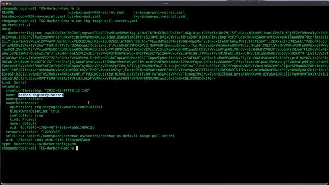 How to pull container images in TKG cluster from embedded Harbor Image Registry смотреть онлайн