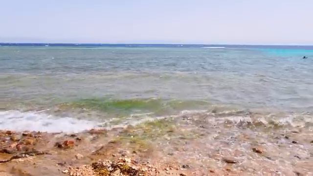 Шарм эль Шейх март 2021 г. И опять любимый Дахаб. Купаемся и кушаем вкусненько))) смотреть онлайн