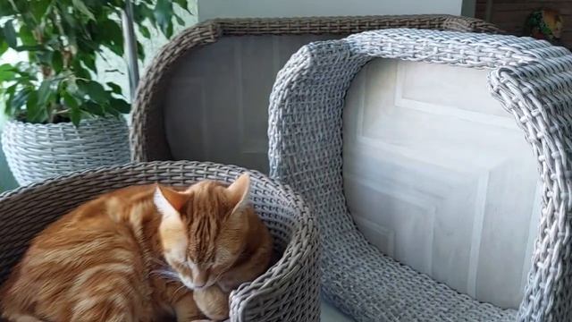 Лежанка из ротанга. МК.