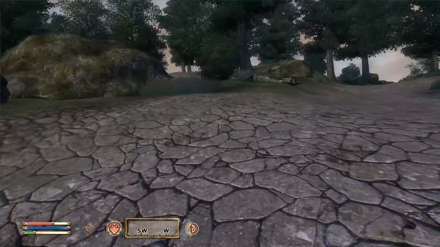 TES IV: Oblivion на 100% #19: Паломничество (Подробное прохождение).