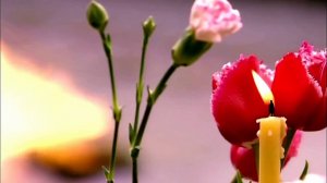 ПОСЛЕДНИЙ ВЕТЕРАН