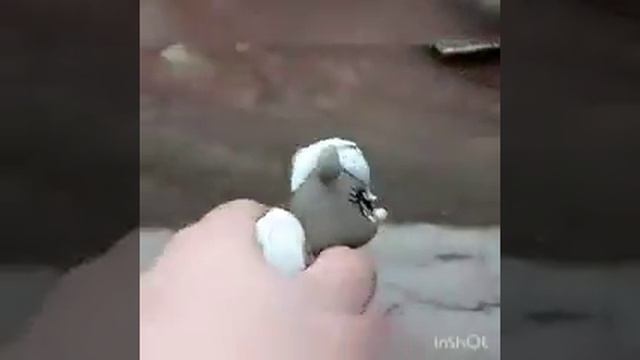 СКИНУЛИ LPS ИЗ ОКНА МНОГОЭТАЖКИ!!!ШОК смотреть онлайн
