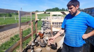 Выращивание уток Голубой фаворит.Выращивание Башкирской утки.От А до я.С 1-30 день