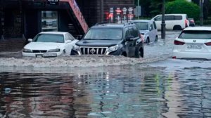 Затопленные парковки и рестораны. Мощные ливни спровоцировали потоп во Владивостоке