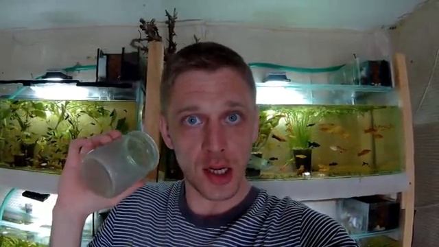 ТЫКВА В АКВАРИУМЕ!!! ИЛИ ОБО ВСЕМ ПОНЕМНОГУ!!! смотреть онлайн