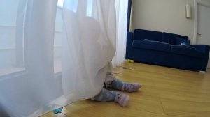 Развитие ребенка в 1 год и 5 месяцев