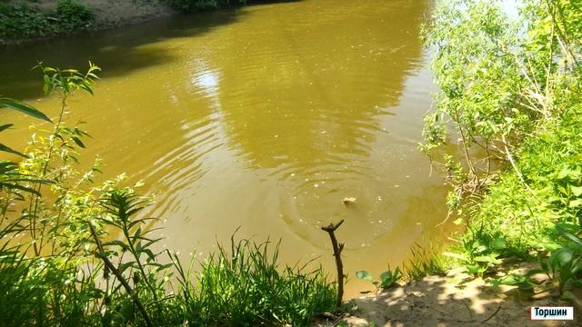 Крупный ГИБРИД (КАРАСЬ) порадовал! Рыбалка в Чебоксарах 2023 !Река "Цивиль"! #youtube #instagram смотреть онлайн