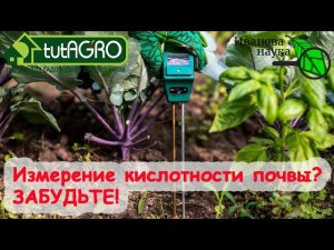 ТРИ СПОСОБА ИЗМЕРИТЬ КИСЛОТНОСТЬ ПОЧВЫ В ДОМАШНИХ УСЛОВИЯХ. Точность, надежность и целесообразность.