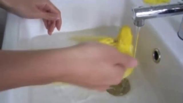 купание попугая смотреть онлайн