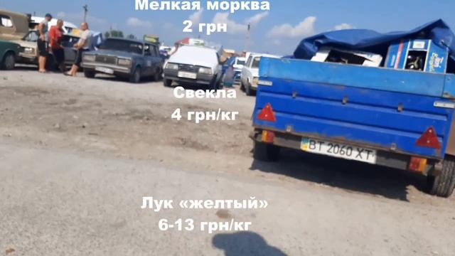 Цены на рынке Большие Копани 5 августа смотреть онлайн