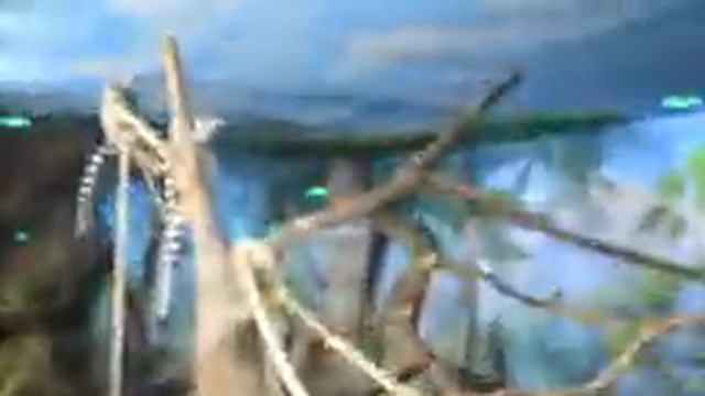 Джунгли смотреть онлайн