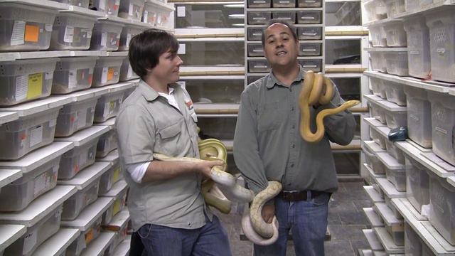 Jay's Hamm-ing it up for the UK смотреть онлайн