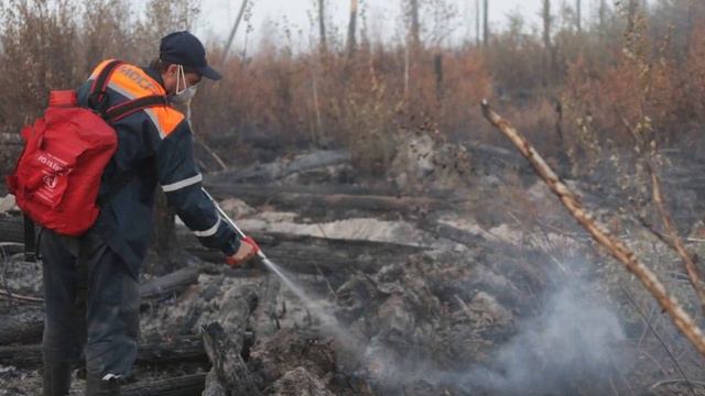 Почему горят леса в России смотреть онлайн