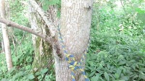 Калмыцкий узел.