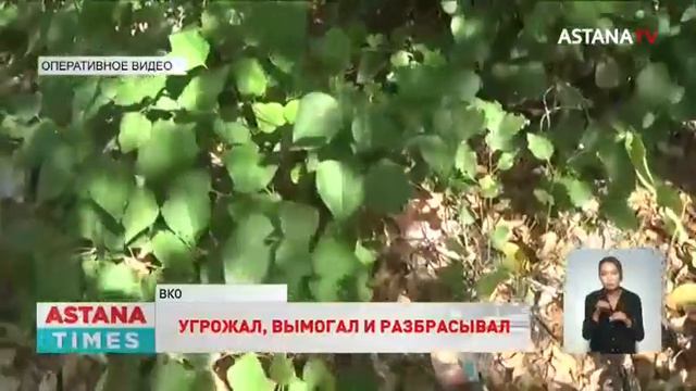 Вымогатель из ВКО выбросил деньги, чтобы избавится от улик смотреть онлайн