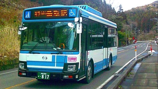 佳子内親王殿下 Princess Kako 27 Feb 2024