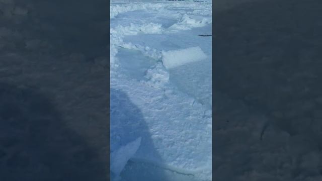 Башенный клев рыбы на Сахалине смотреть онлайн