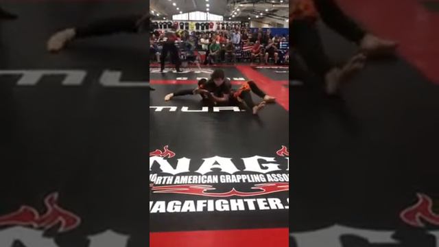 I took first place in my MIXED MARTIAL ARTS tournament смотреть онлайн
