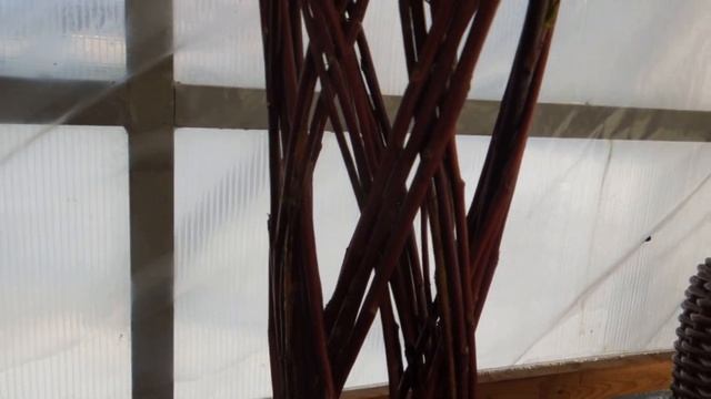 22.02.2023 г. Плетёное дерево из вербы, через 20 дней. смотреть онлайн