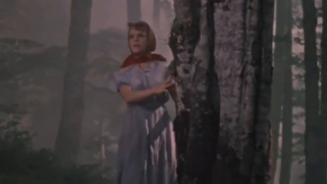 +Одна из самых красивых украинских песен Плакучая гитара поет Владимир Буй смотреть онлайн