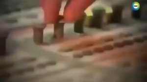 Тайны исчезнувших цивилизаций: Загадка золотой библиотеки и подземные лабиринты джунглей